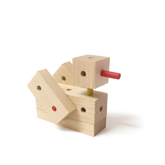 Ente – Modellfoto