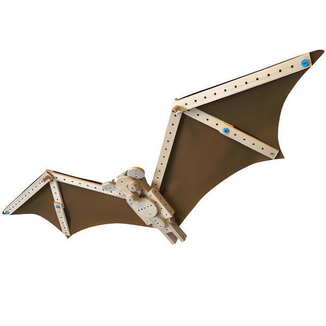 Fledermaus – Modellfoto