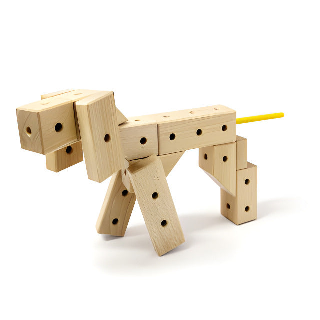 Hund – Modellfoto